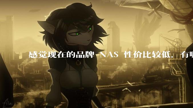 感觉现在的品牌 NAS 性价比较低，有哪些好的 DIY 方案？