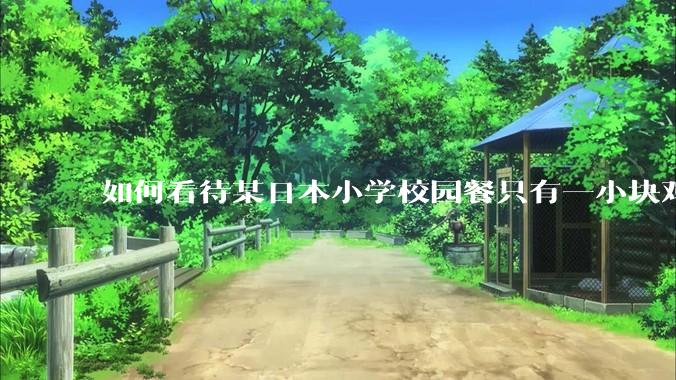 如何看待某日本小学校园餐只有一小块鸡肉？