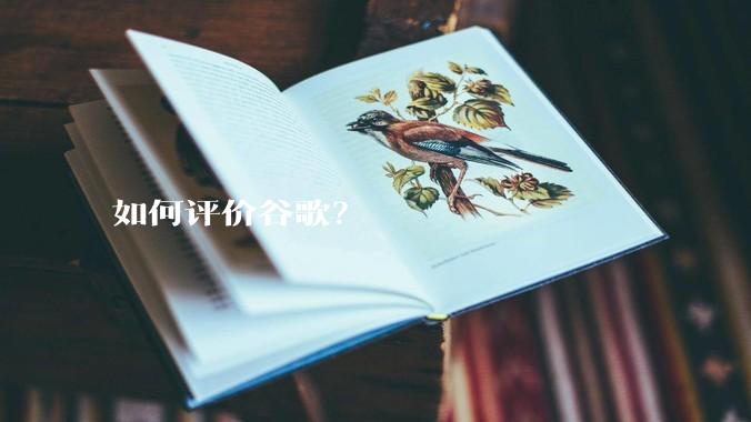 如何评价谷歌？