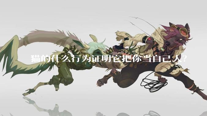 猫的什么行为证明它把你当自己人？