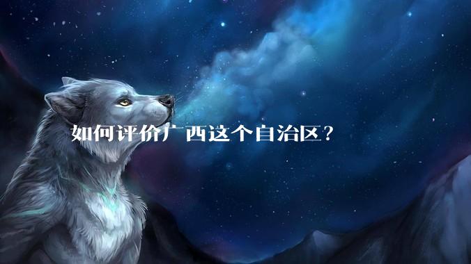 如何评价广西这个自治区？