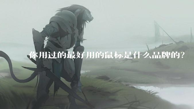 你用过的最好用的鼠标是什么品牌的？