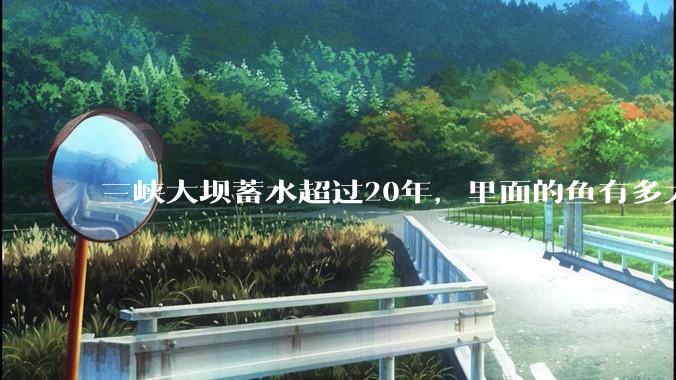 三峡大坝蓄水超过20年，里面的鱼有多大？