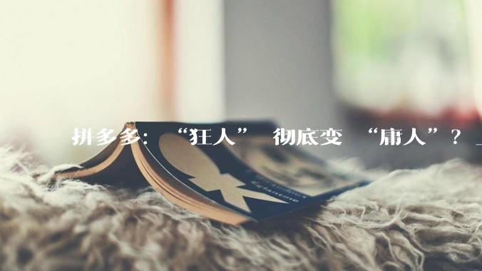 拼多多：“狂人” 彻底变 “庸人”？_Temu_预期_影响