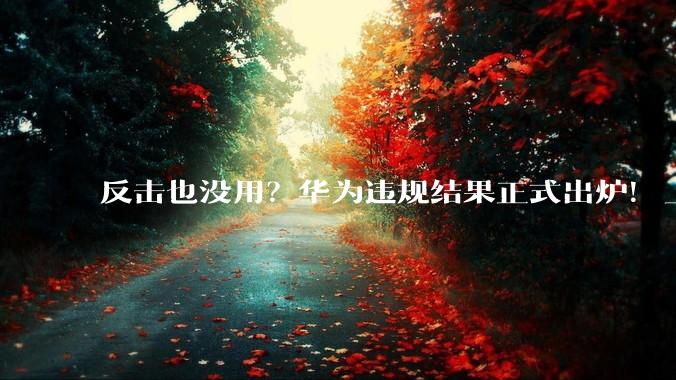 反击也没用？华为违规结果正式出炉！_瑞典_禁令_的设备