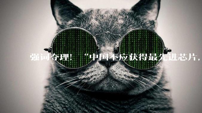 强词夺理！“中国不应获得最先进芯片，美国才应领先”_黄仁_Rubin_市场