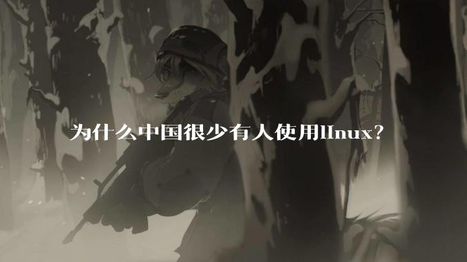 为什么中国很少有人使用linux？
