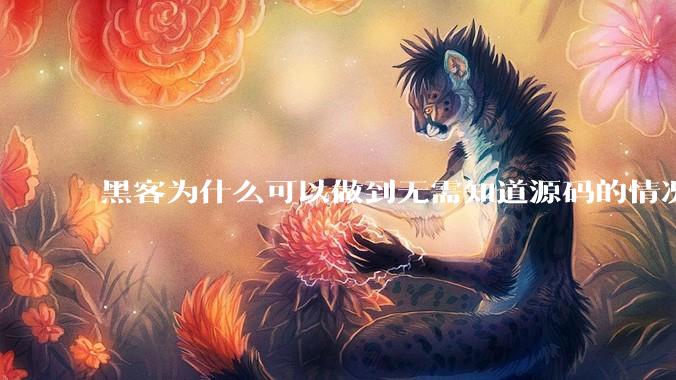 黑客为什么可以做到无需知道源码的情况下找出系统漏洞？