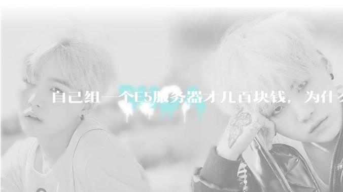 自己组一个E5服务器才几百块钱，为什么去阿里云租这么贵?