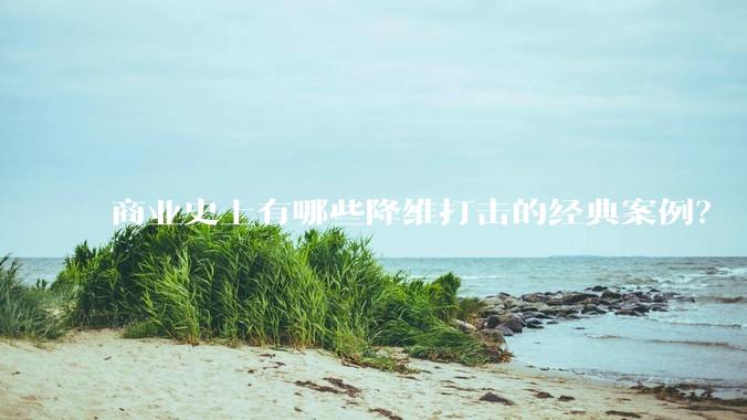 商业史上有哪些降维打击的经典案例？