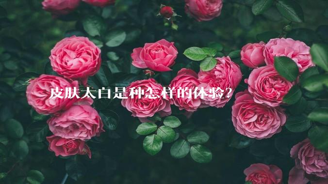皮肤太白是种怎样的体验？