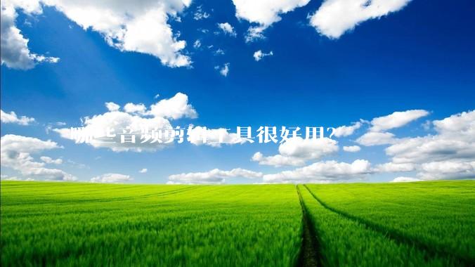 哪些音频剪辑工具很好用？