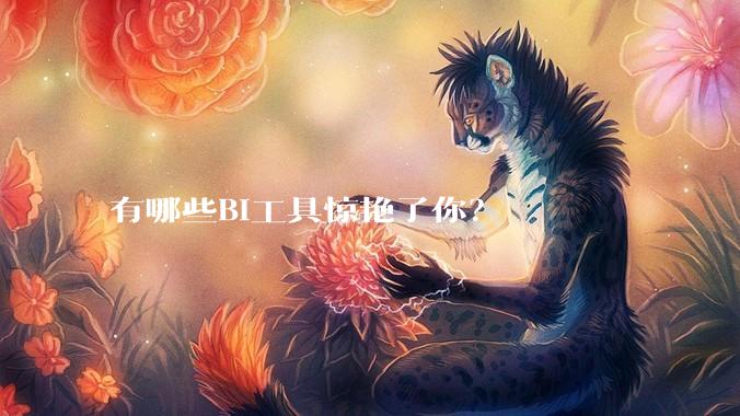 有哪些BI工具惊艳了你？